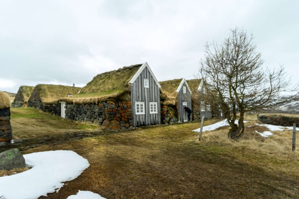 05-09-21-17.29.51.DNG