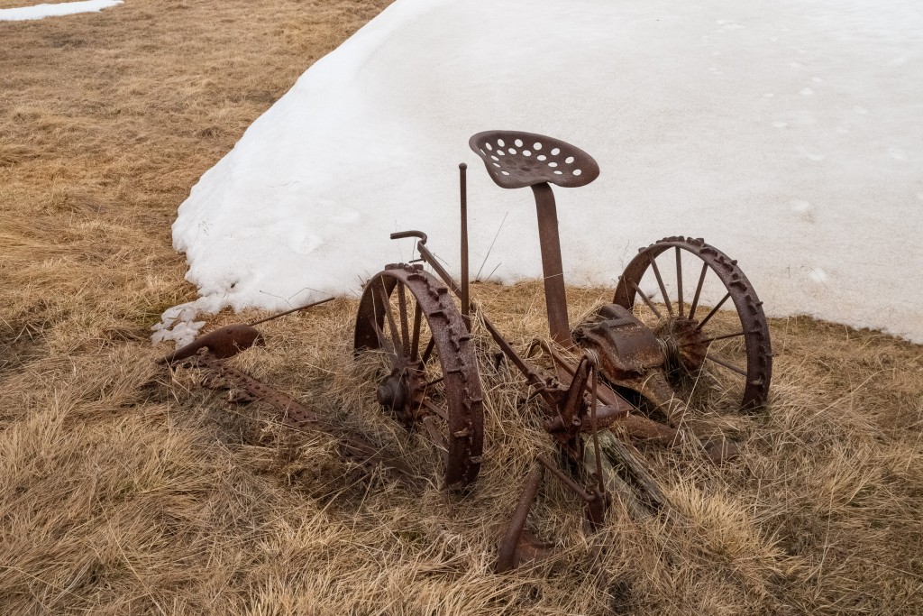 05-09-21-17.30.10.DNG