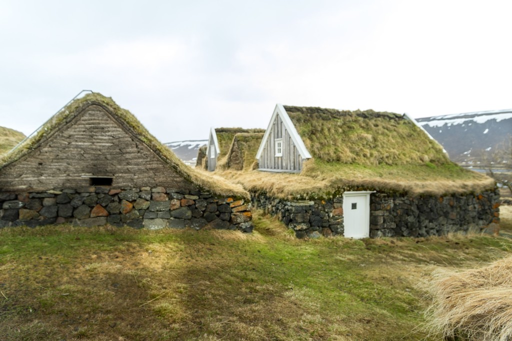 05-09-21-17.35.20.DNG