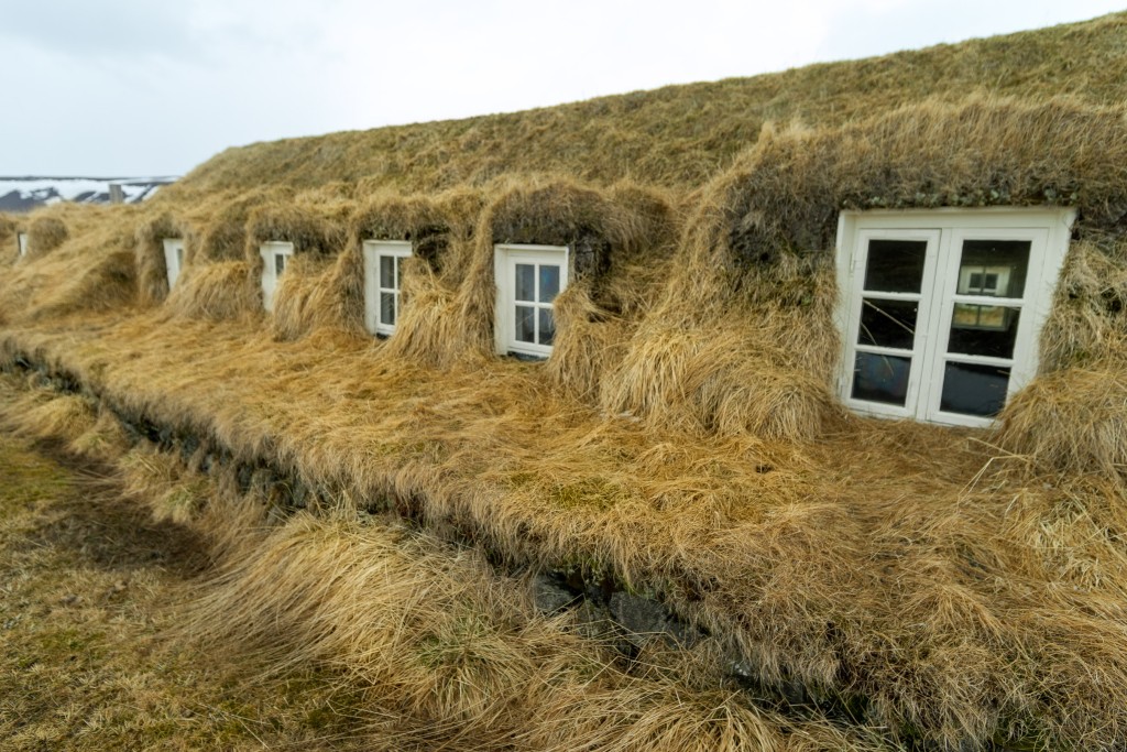 05-09-21-17.36.39.DNG