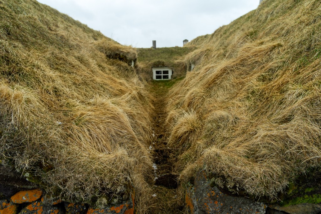 05-09-21-17.36.58.DNG