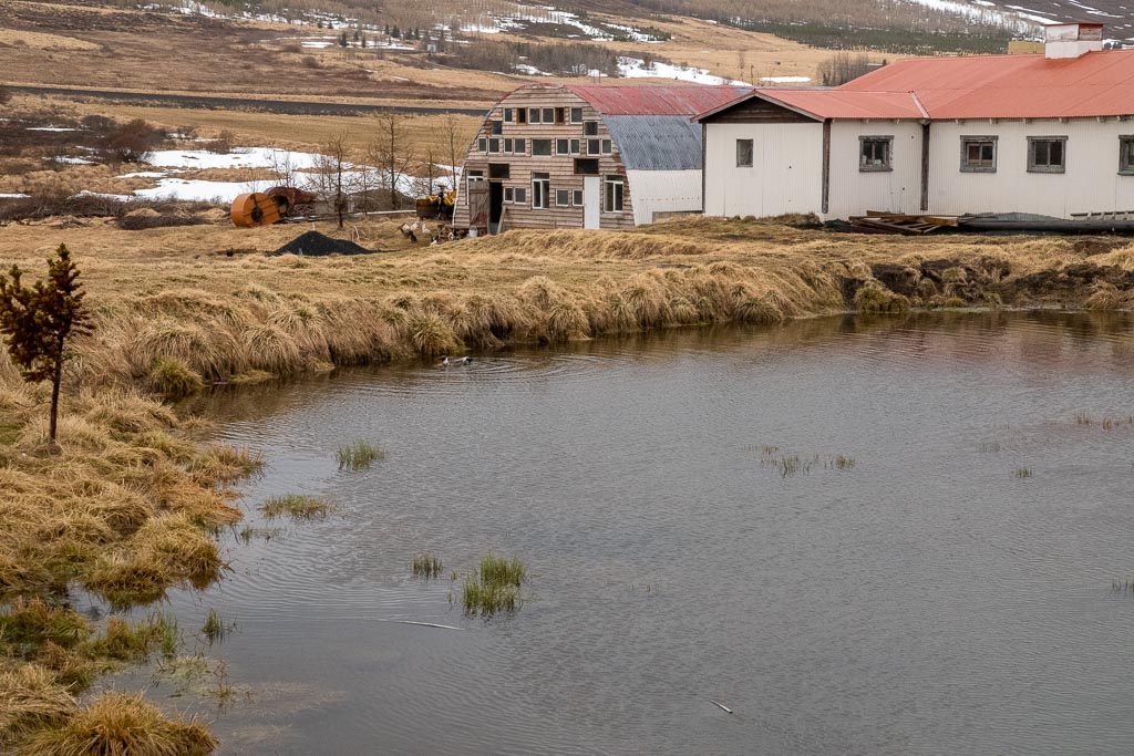 Pentax K-1 / 9 Pentax K-1   9