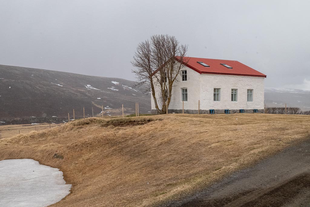 Pentax K-1 / 9 Pentax K-1   9