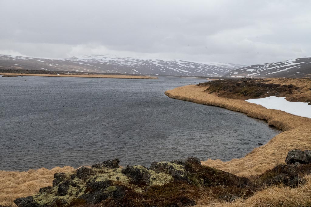 Pentax K-1 / 9 Pentax K-1   9