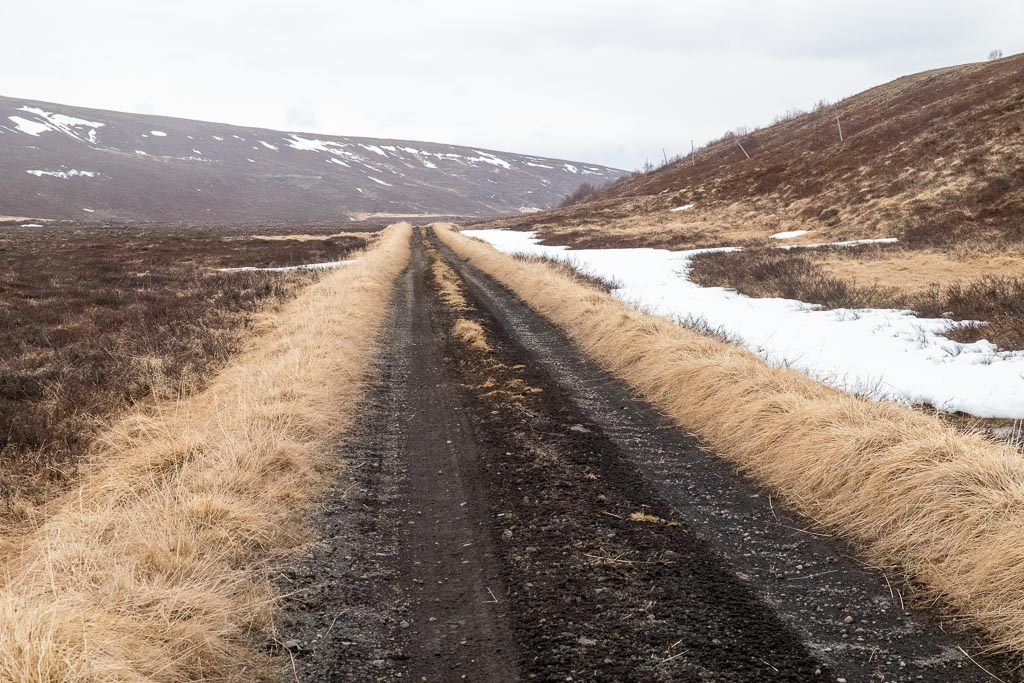 Pentax K-1 / 9 Pentax K-1   9