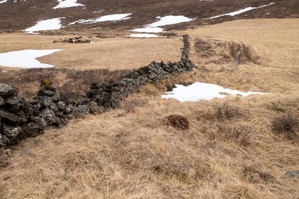 Pentax K-1 / 9 Pentax K-1   9