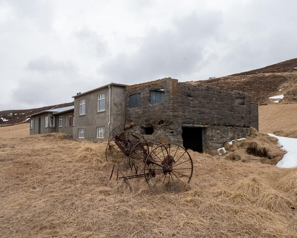 Pentax K-1 / 9 Pentax K-1   9