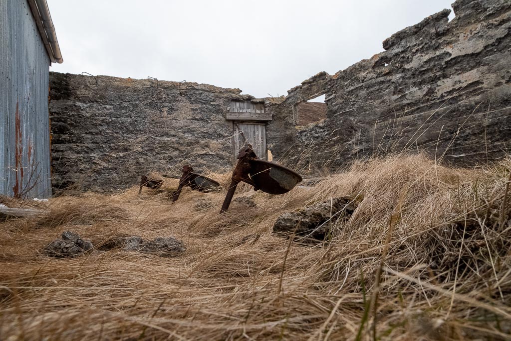 Pentax K-1 / 9 Pentax K-1   9