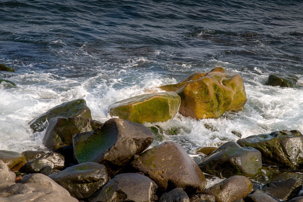 05-13-21-14.48.49.DNG