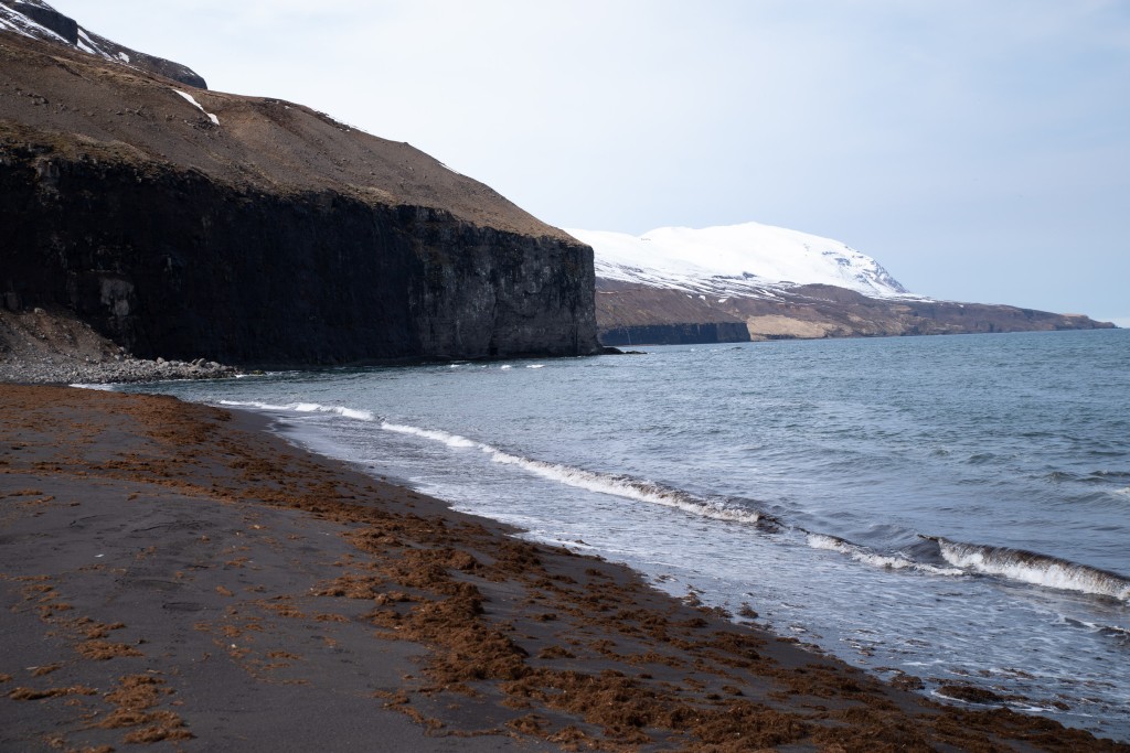 05-13-21-14.55.47.DNG