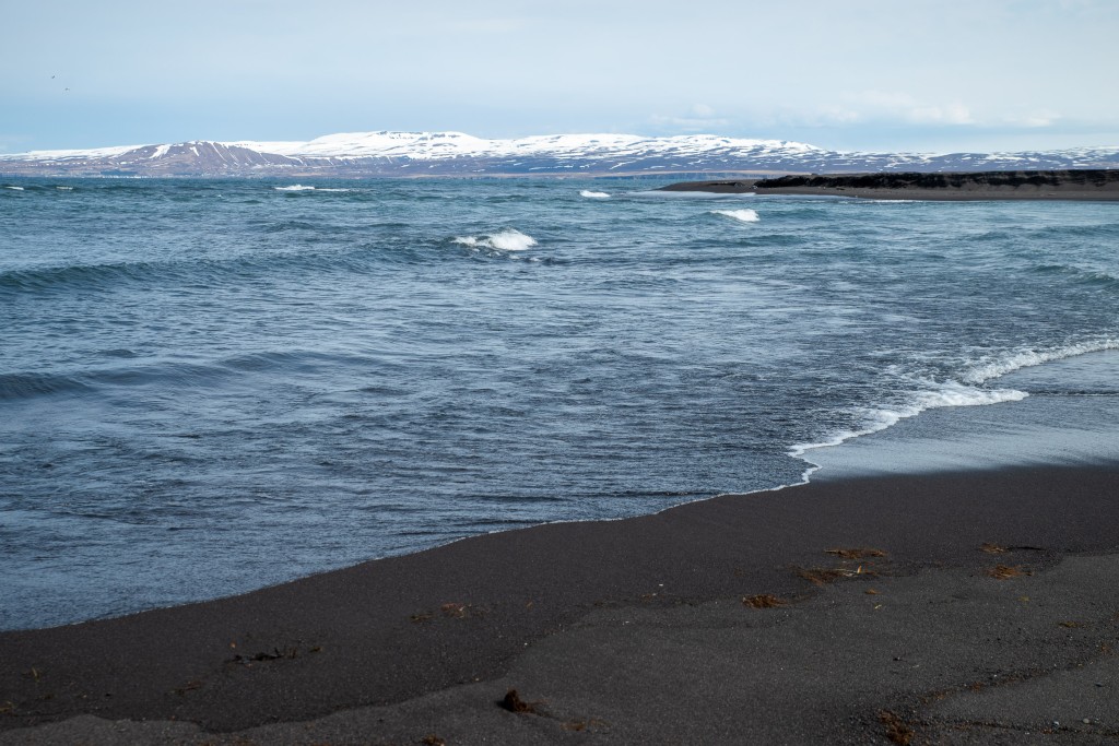 05-13-21-15.00.52.DNG