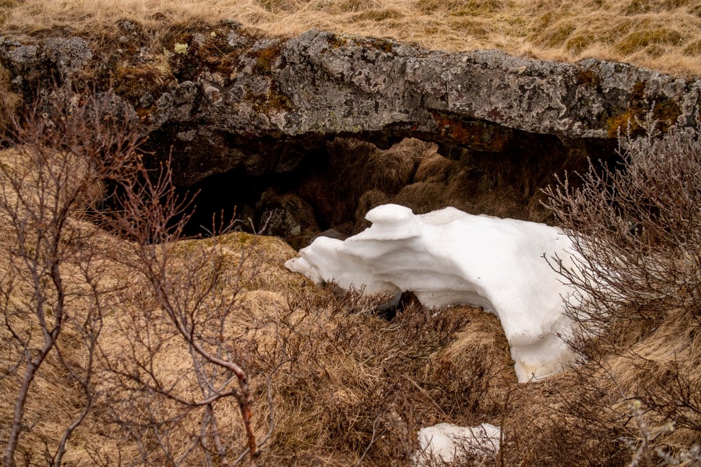 05-18-21-18.22.33.DNG