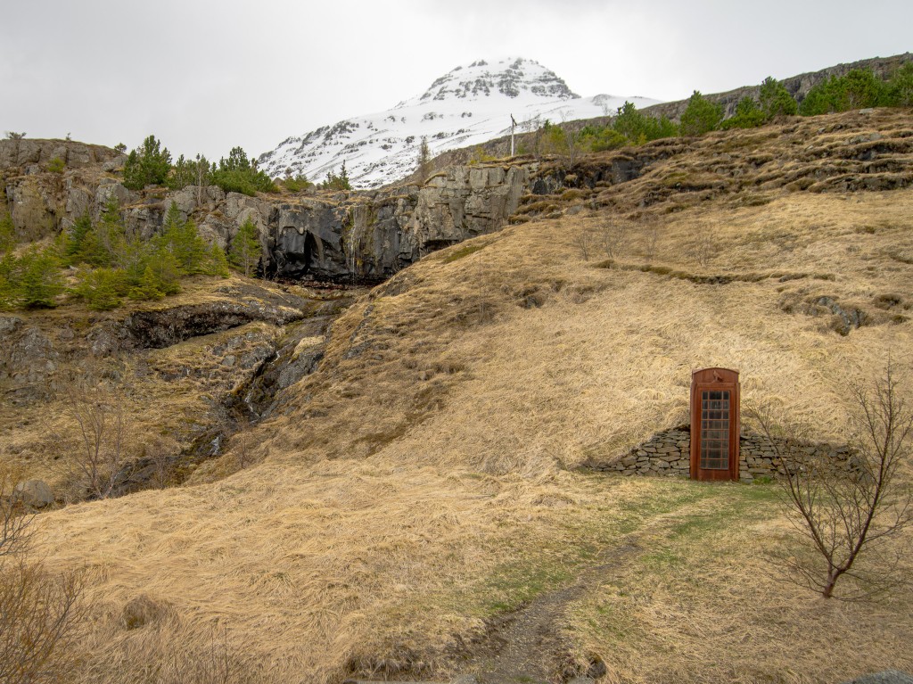 05-19-21-14.40.10.DNG