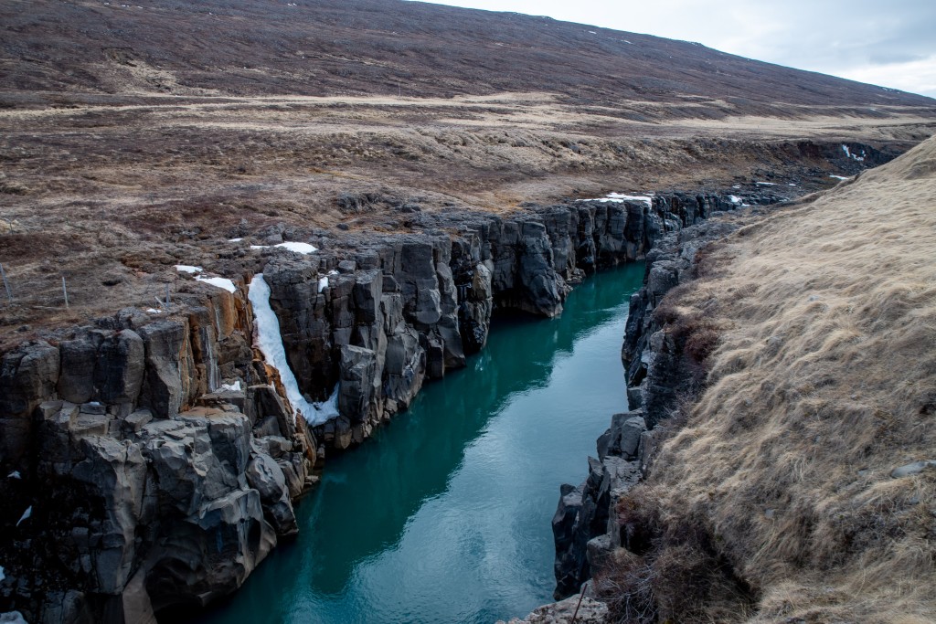 05-19-21-17.33.11.DNG