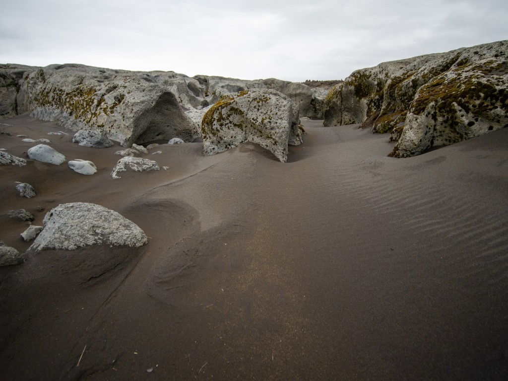 05-24-21-16.20.42.DNG