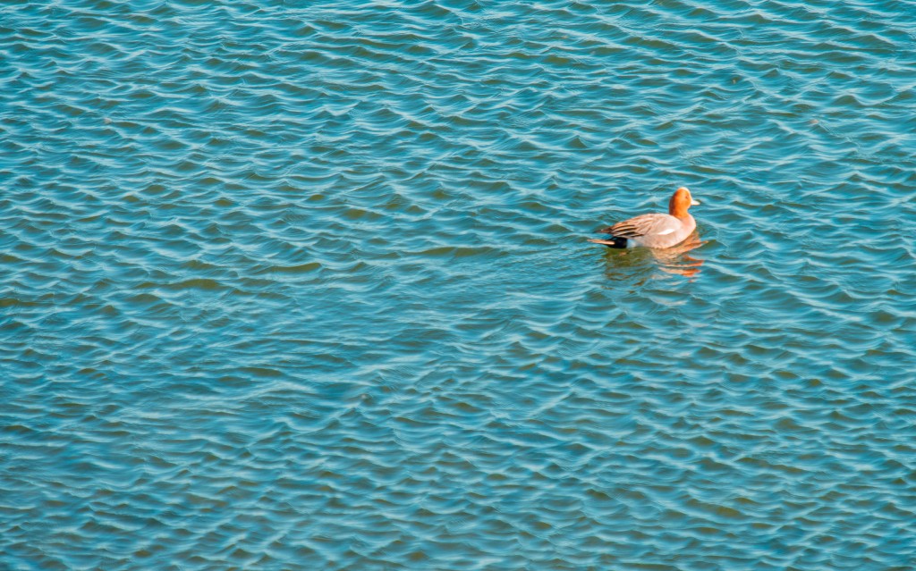 05-25-21-21.54.54.DNG