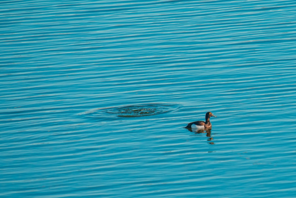 05-25-21-21.55.11.DNG