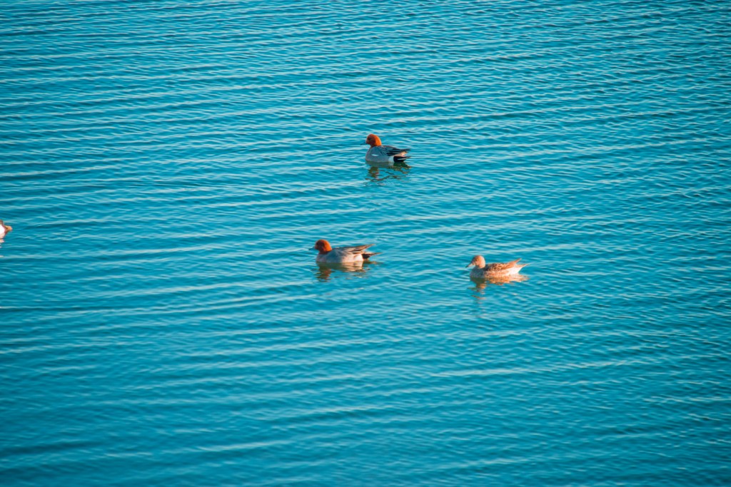 05-25-21-21.57.30.DNG