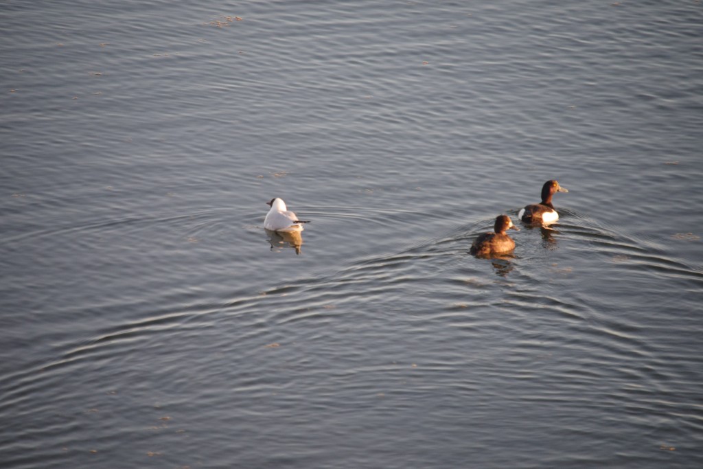 05-25-21-22.58.10.DNG