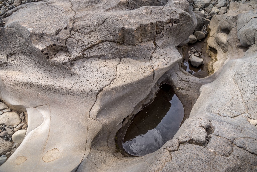 06-06-21-13.53.34.DNG