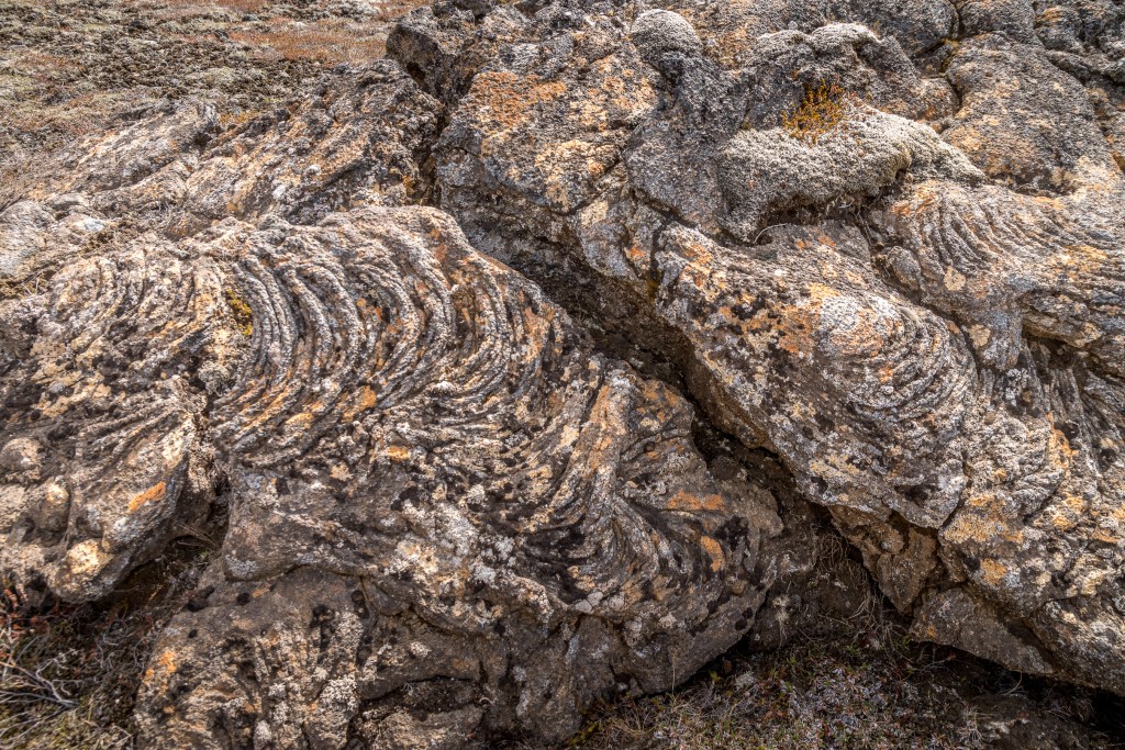 06-06-21-13.56.36.DNG