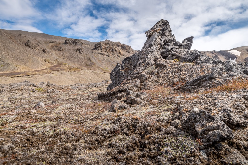 06-06-21-13.57.34.DNG