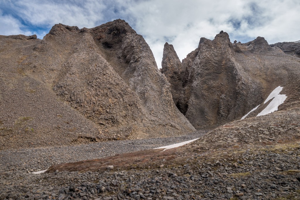 06-06-21-14.03.00.DNG