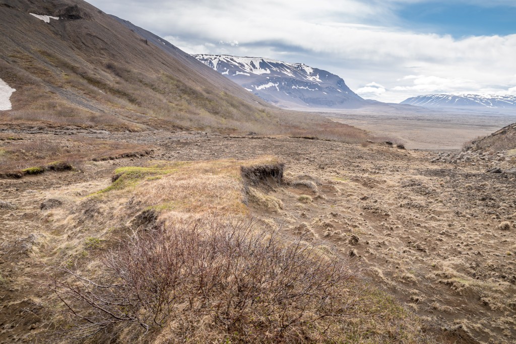 06-06-21-15.04.35.DNG