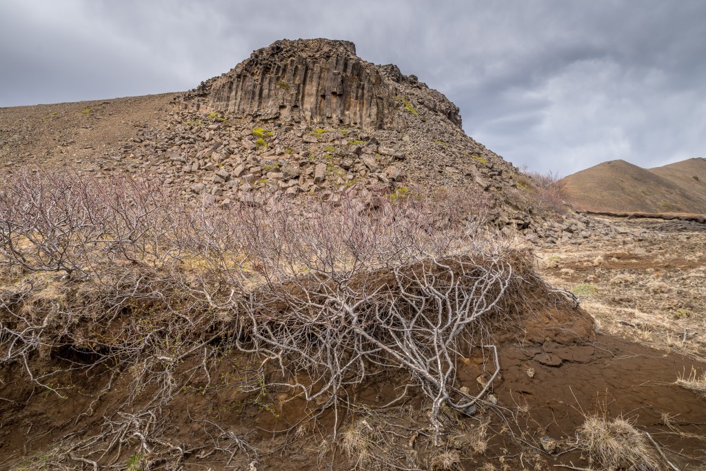 06-06-21-15.05.48.DNG