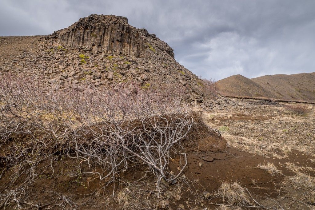 06-06-21-15.05.50.DNG