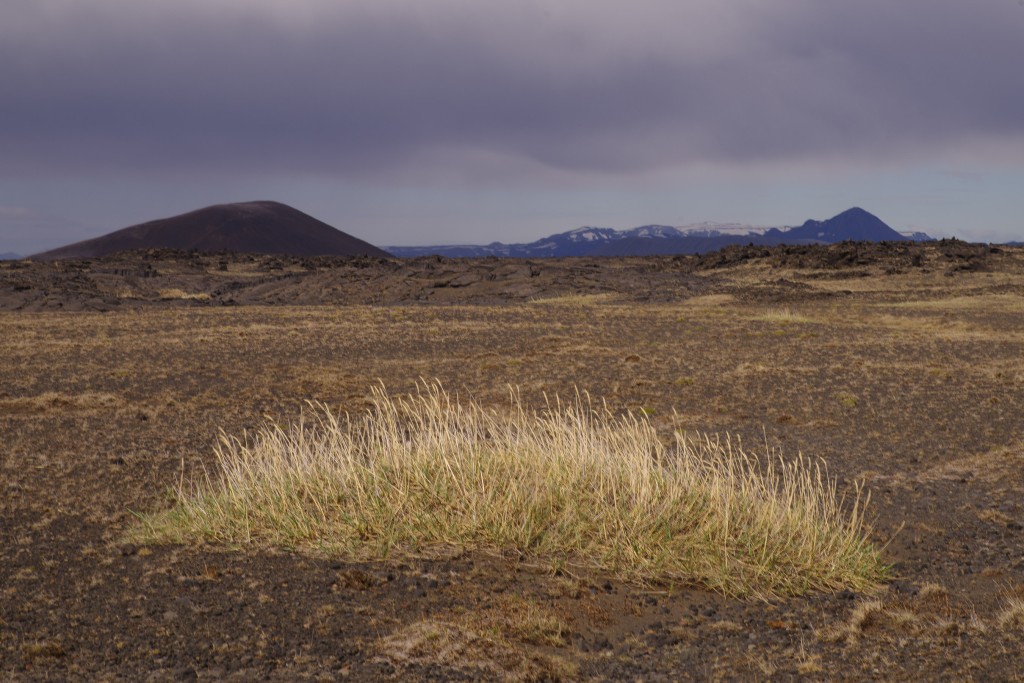 06-06-21-15.22.44.DNG