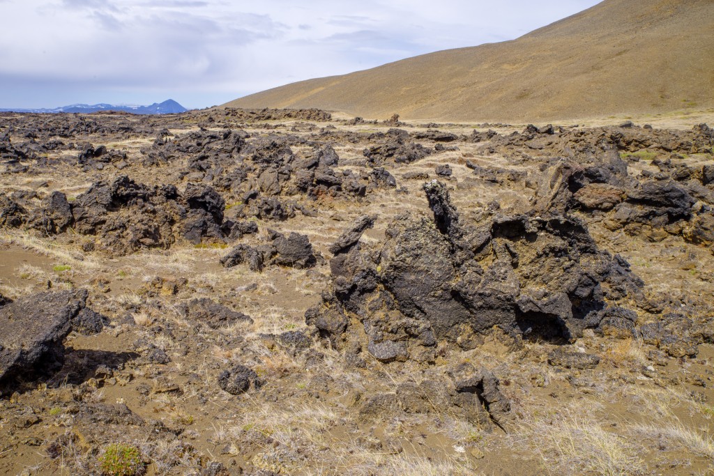 06-06-21-15.31.52.DNG