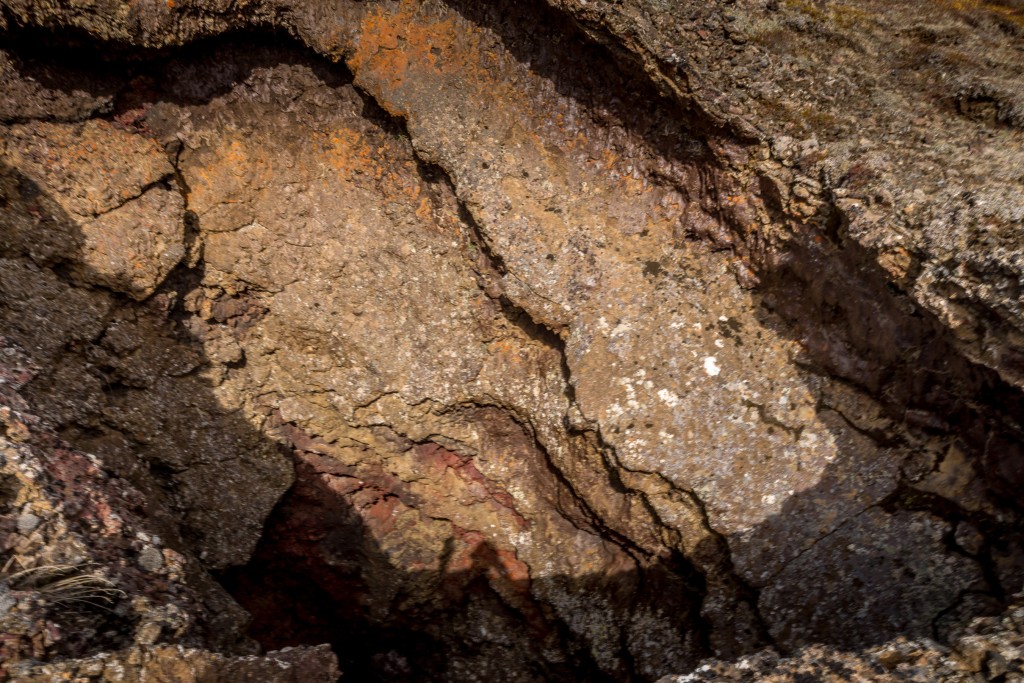 06-06-21-15.48.23.DNG