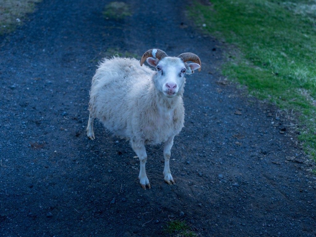 06-07-21-23.32.40.DNG