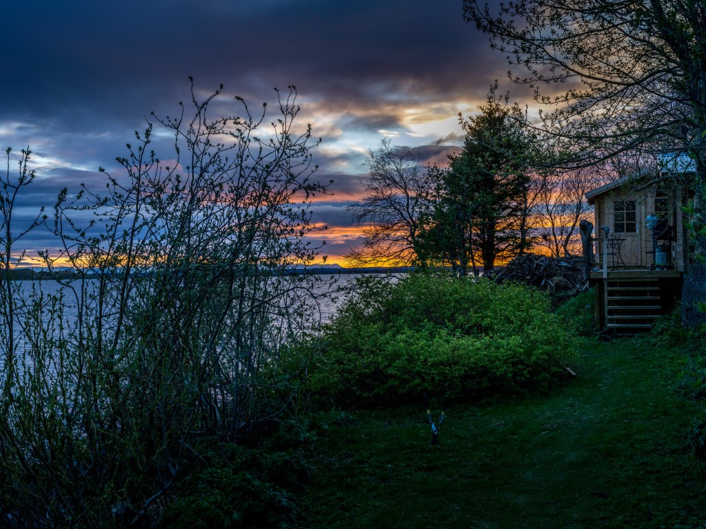 06-07-21-23.36.27.DNG