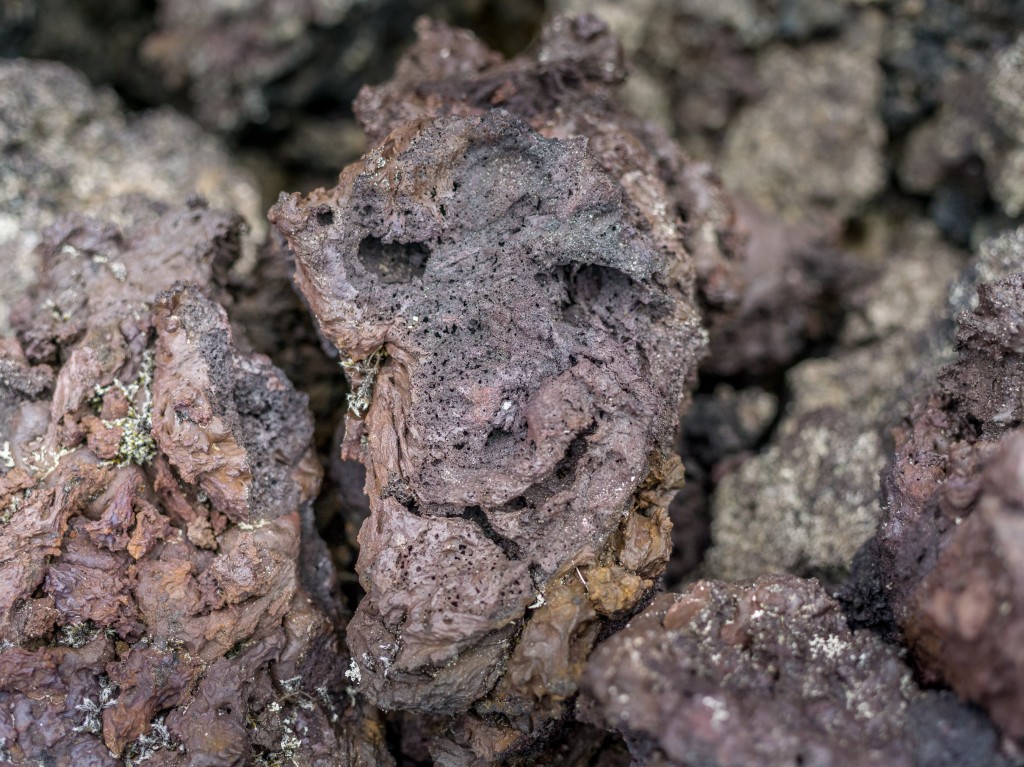 08-01-21-16.28.17.DNG