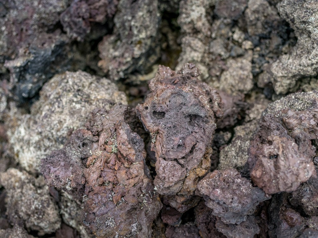 08-01-21-16.28.20.DNG