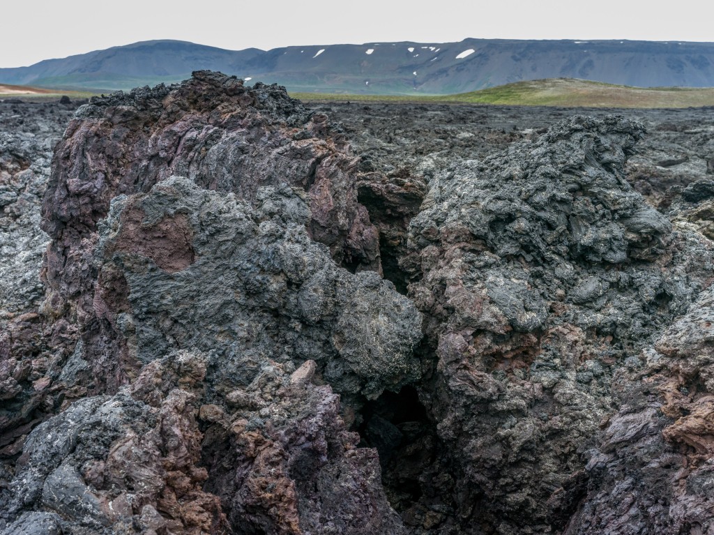 08-01-21-16.28.44.DNG