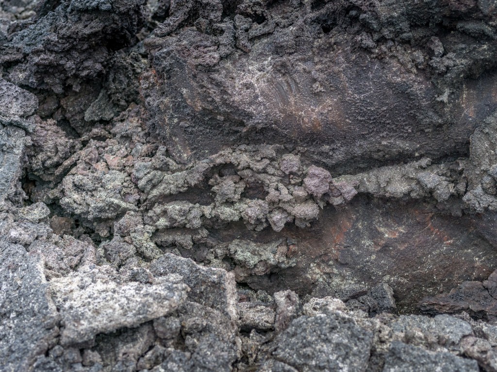 08-01-21-16.31.13.DNG