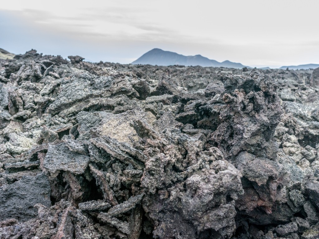 08-01-21-16.33.00.DNG