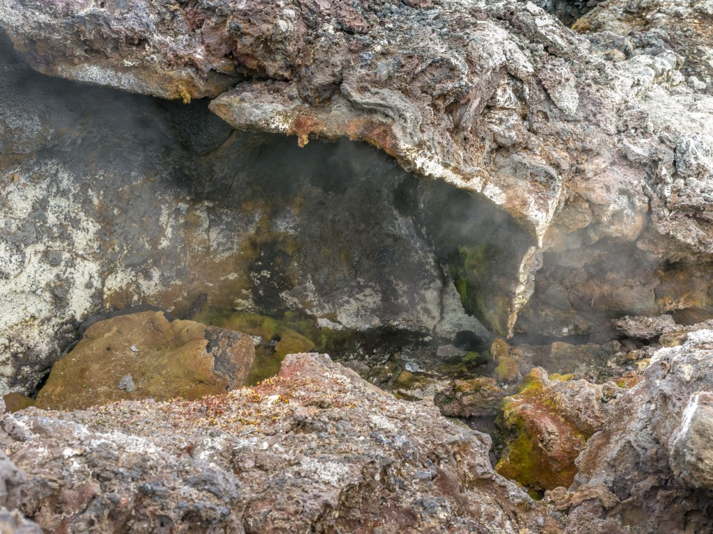 08-01-21-16.36.44.DNG