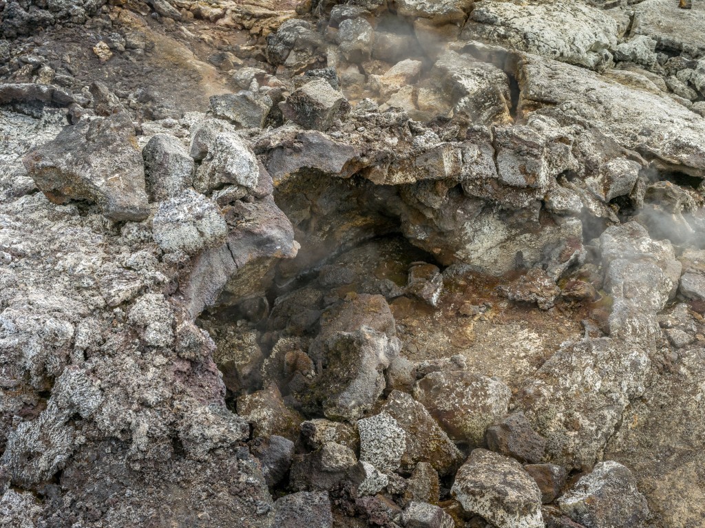 08-01-21-16.36.54.DNG