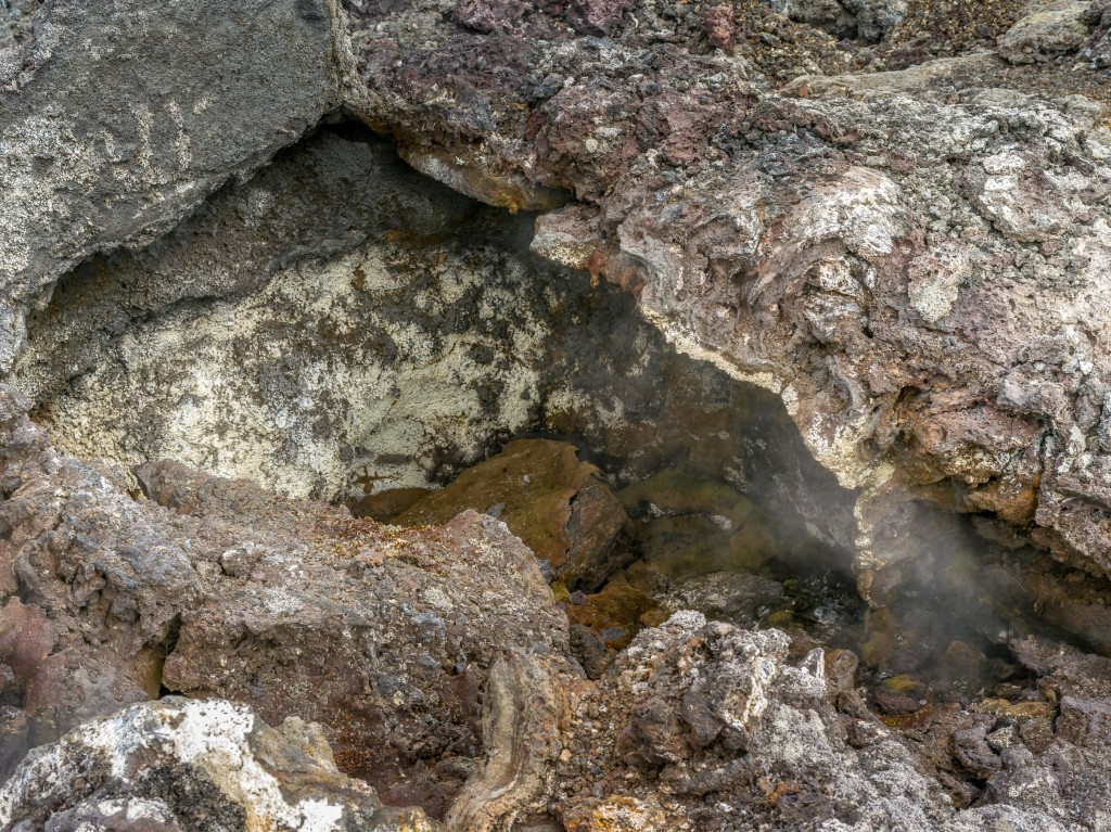 08-01-21-16.36.59.DNG