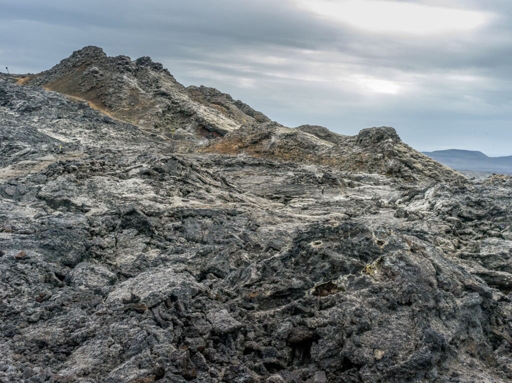 08-01-21-16.39.44.DNG