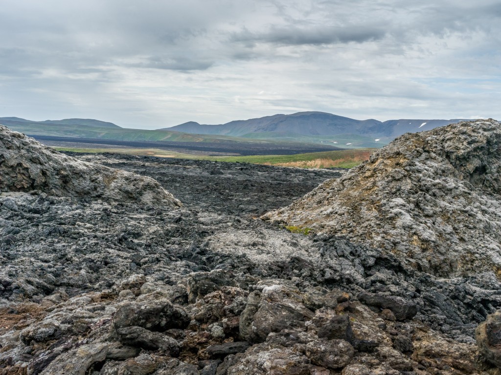 08-01-21-16.41.13.DNG