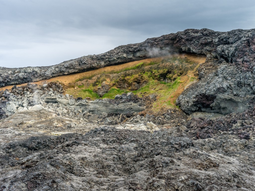 08-01-21-16.47.37.DNG