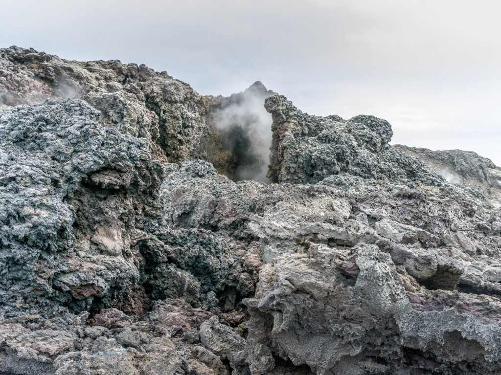 08-01-21-16.48.01.DNG