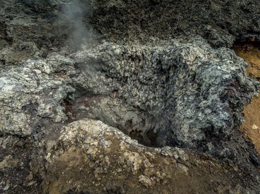 08-01-21-16.52.25.DNG