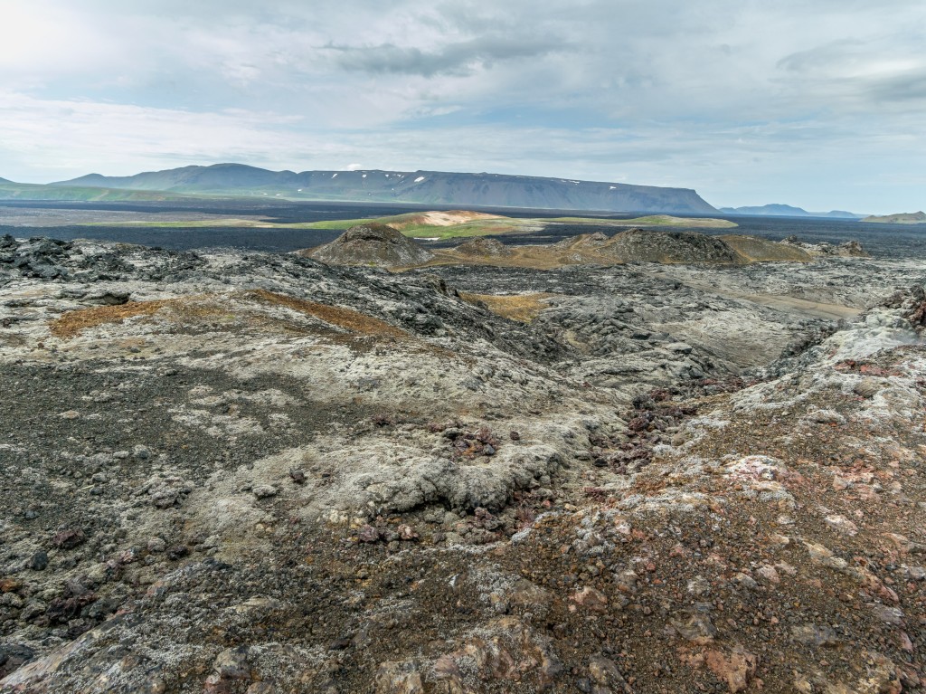 08-01-21-16.56.30.DNG