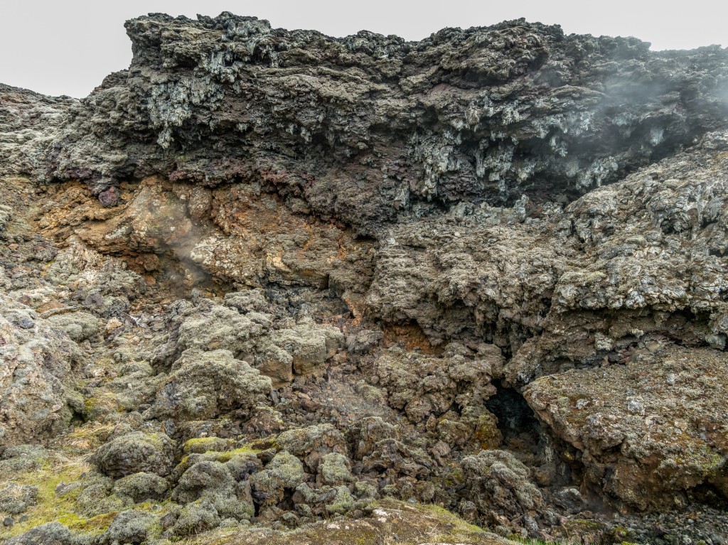 08-01-21-16.57.12.DNG